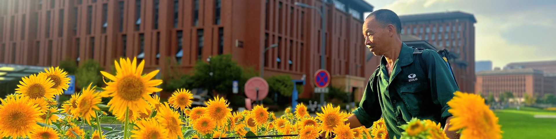 Banner