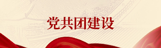 党共团建设